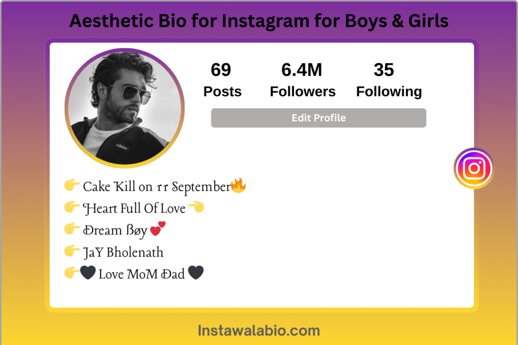 Aesthetic Bio for Instagram (Boys & Girls)