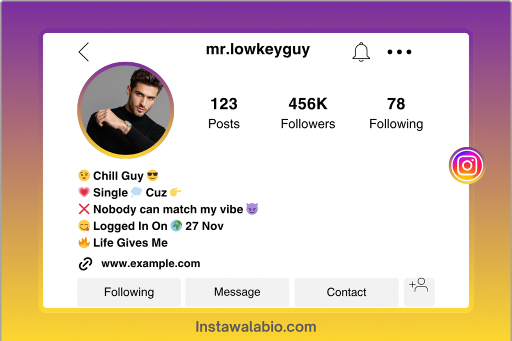 USA Attitude Bio for Instagram